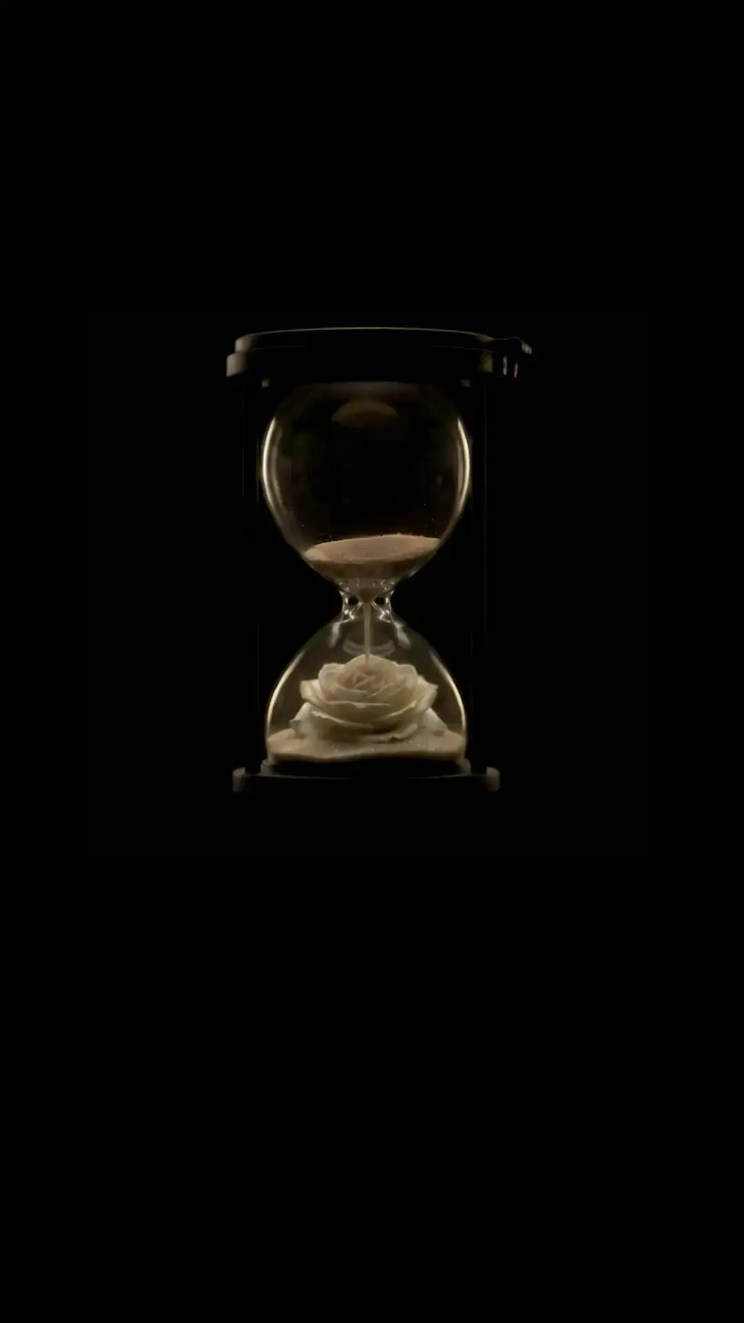 A dark hourglass with an ivory rose resting in the lower bulb as the last sand falls.